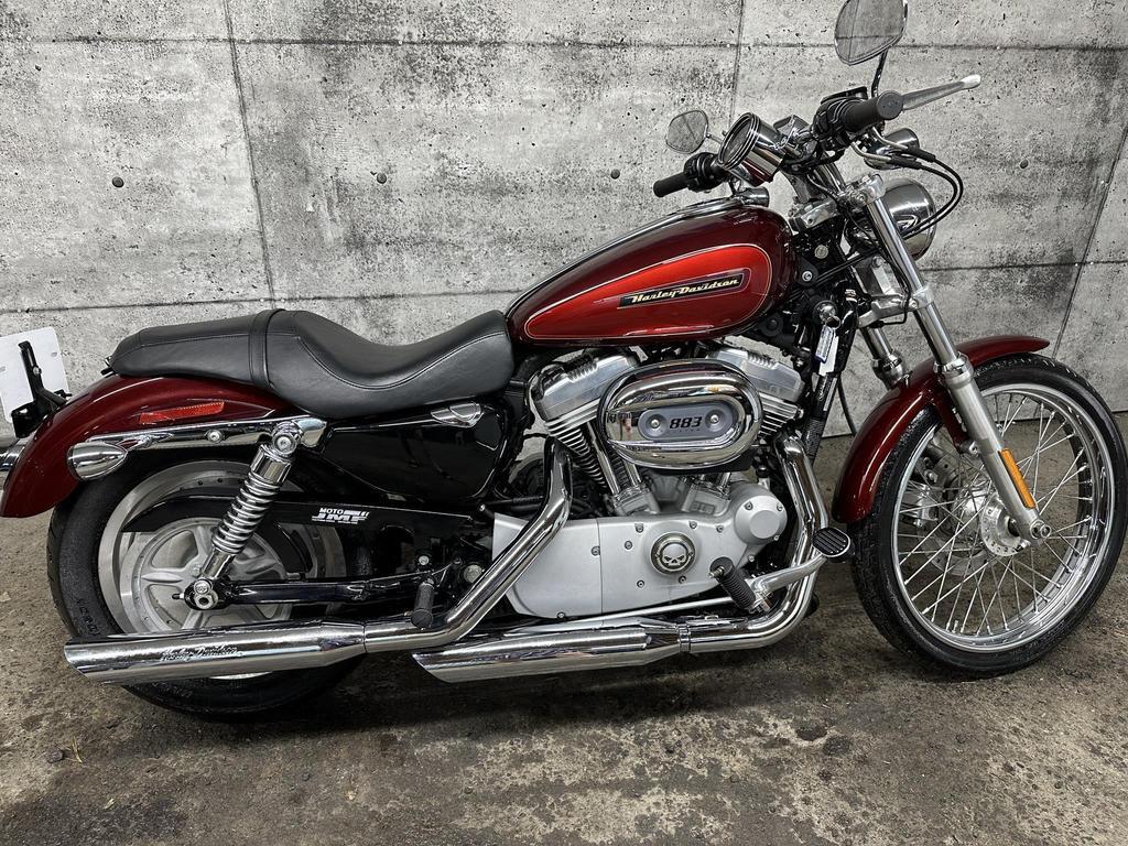 Harley-Davidson SPORTSTER CUSTOM XL 883C 2008 à vendre