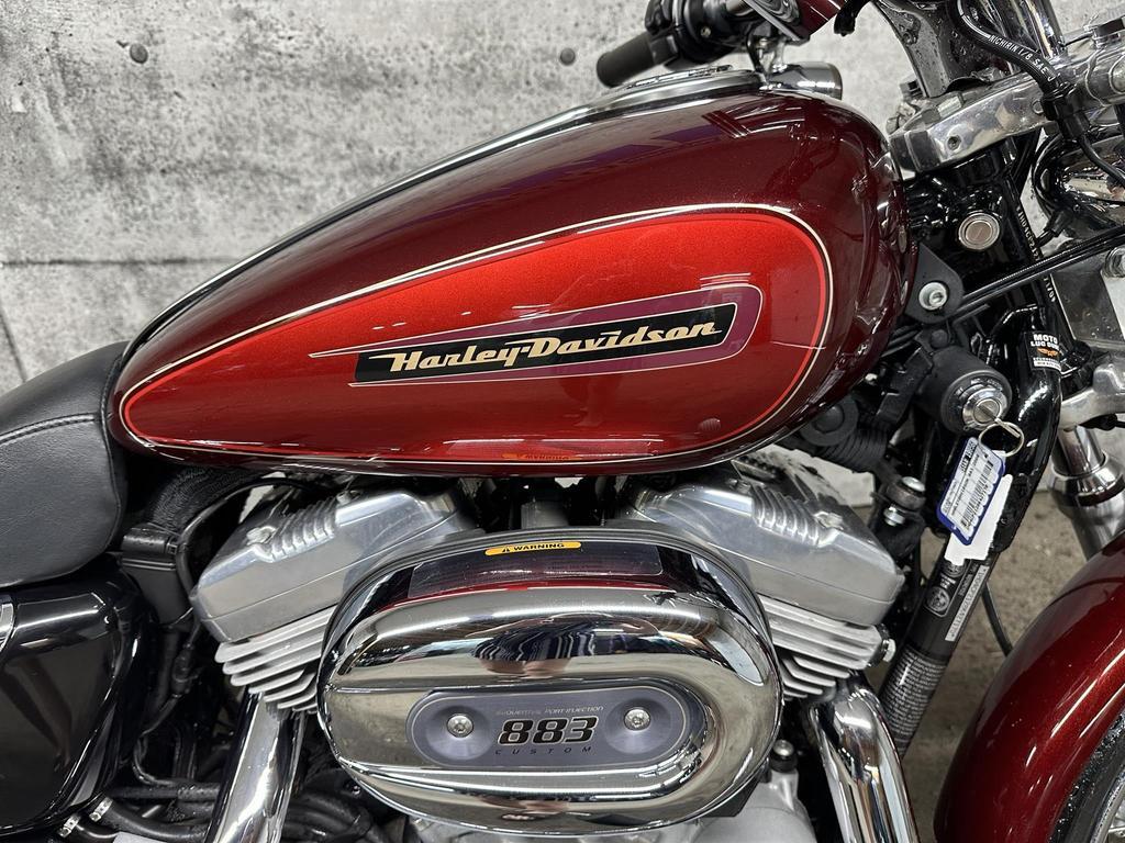 Harley-Davidson SPORTSTER CUSTOM XL 883C 2008 à vendre