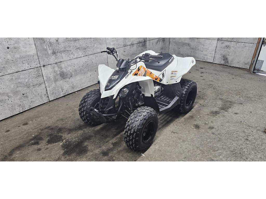 Can-Am DS 90 2021 à vendre