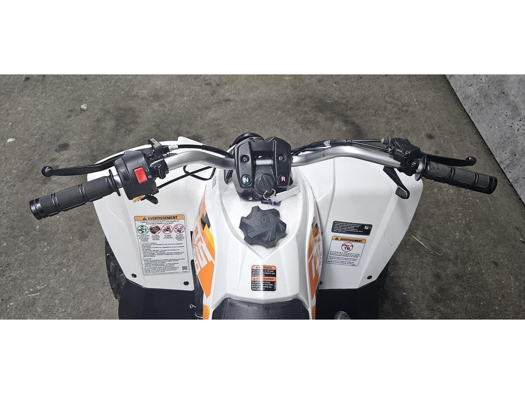 Can-Am DS 90 2021 à vendre