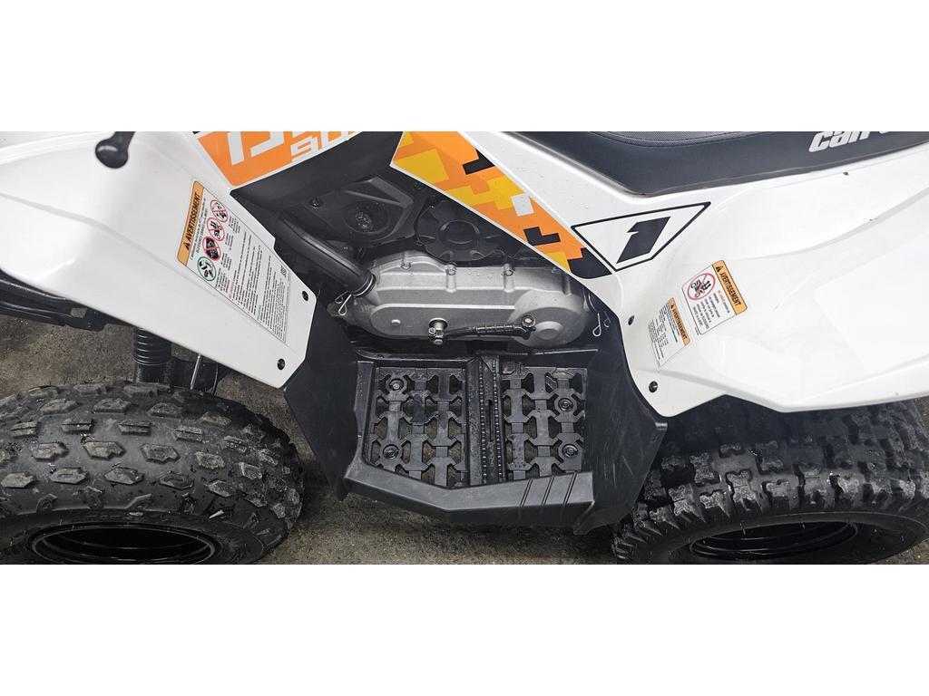 Can-Am DS 90 2021 à vendre