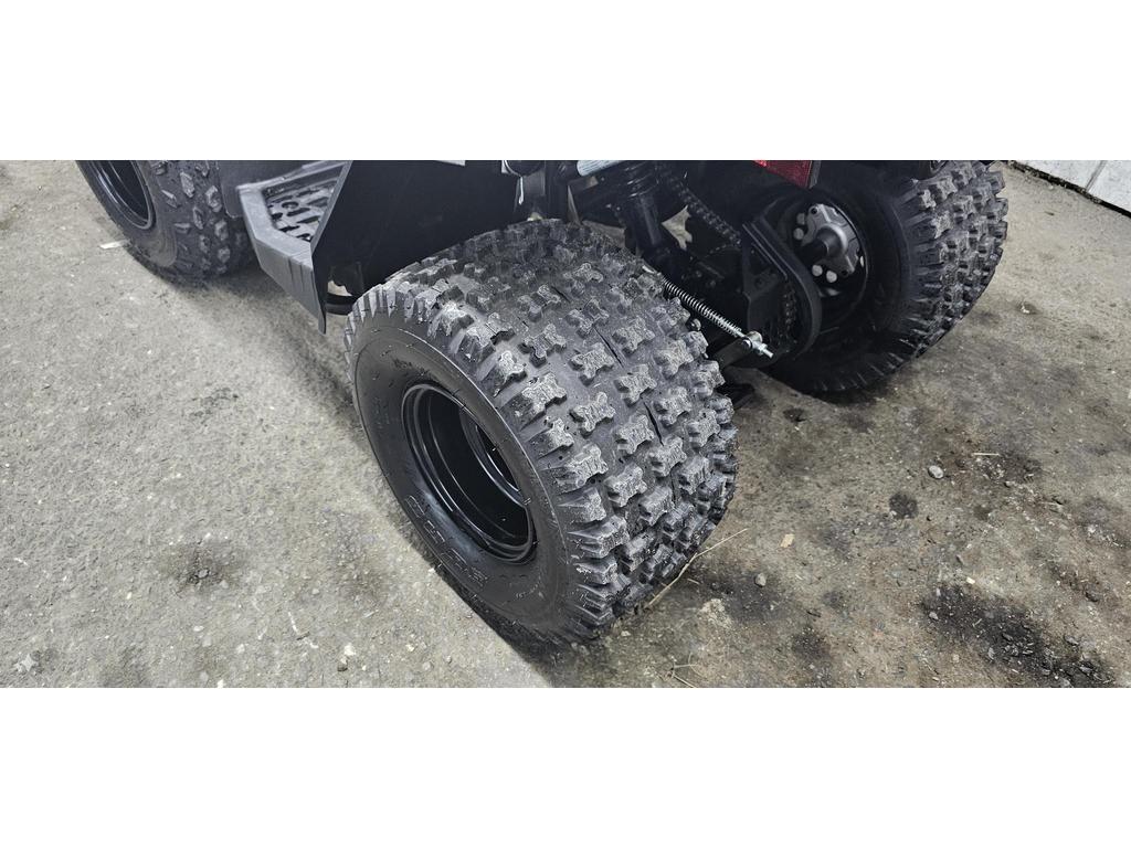 Can-Am DS 90 2021 à vendre