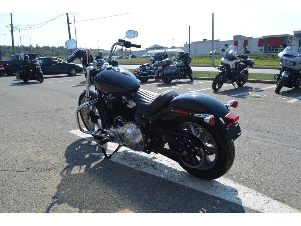 Harley-Davidson FXST Softail 2024 à vendre