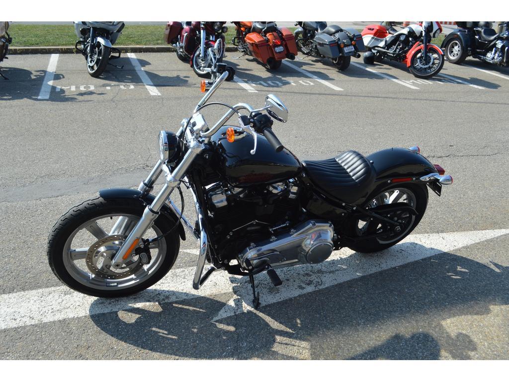 Harley-Davidson FXST Softail 2024 à vendre
