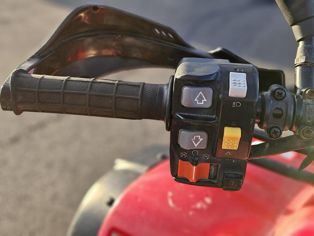 Honda RUBICON 500 2001 à vendre