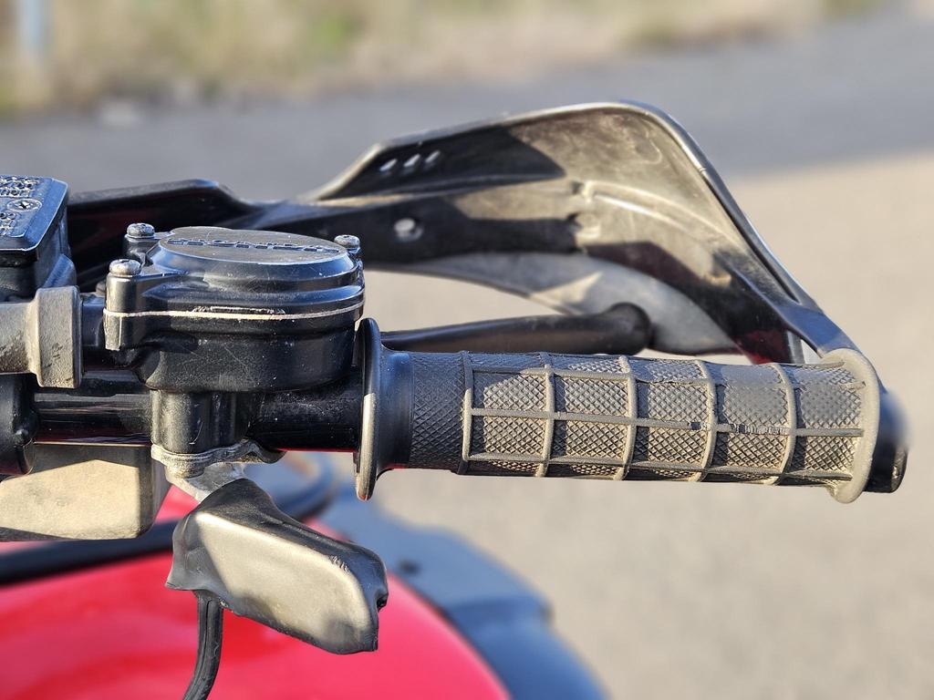 Honda RUBICON 500 2001 à vendre