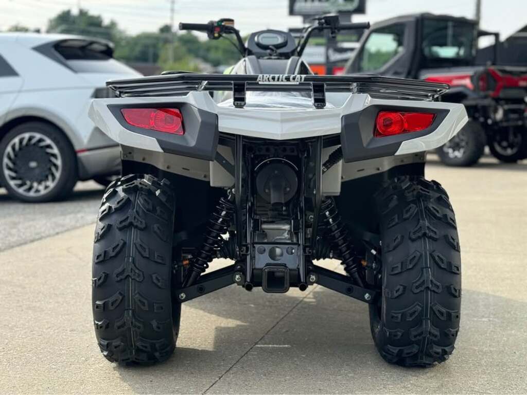Arctic Cat Alterra 450 2024 à vendre