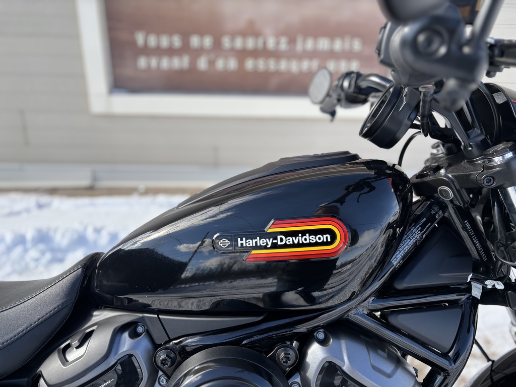 Harley-Davidson Nightster Special 2023 à vendre