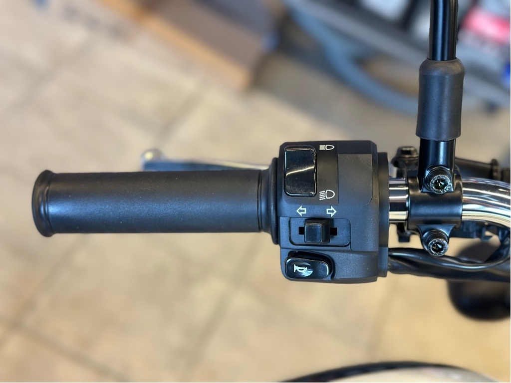 Kawasaki W230 2025 à vendre