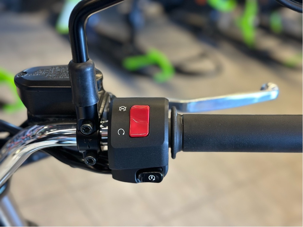 Kawasaki W230 2025 à vendre