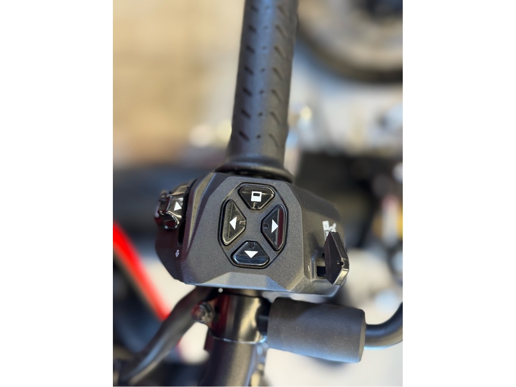 Aprilia Tuono 660 2024 à vendre