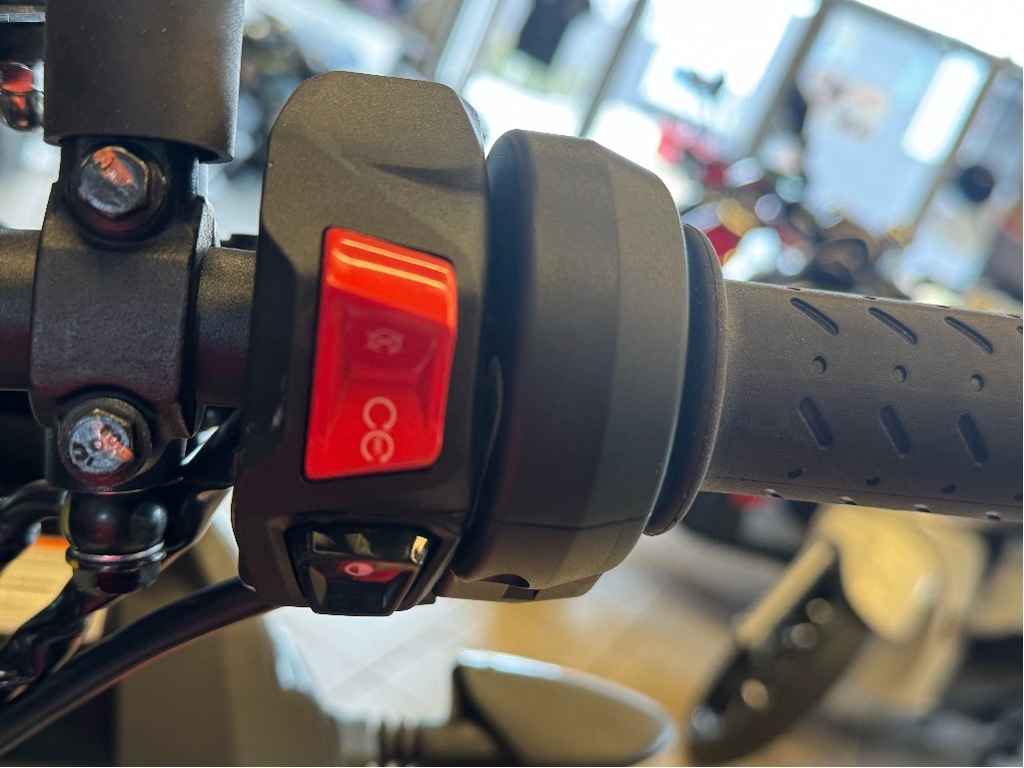 Aprilia Tuono 660 2024 à vendre