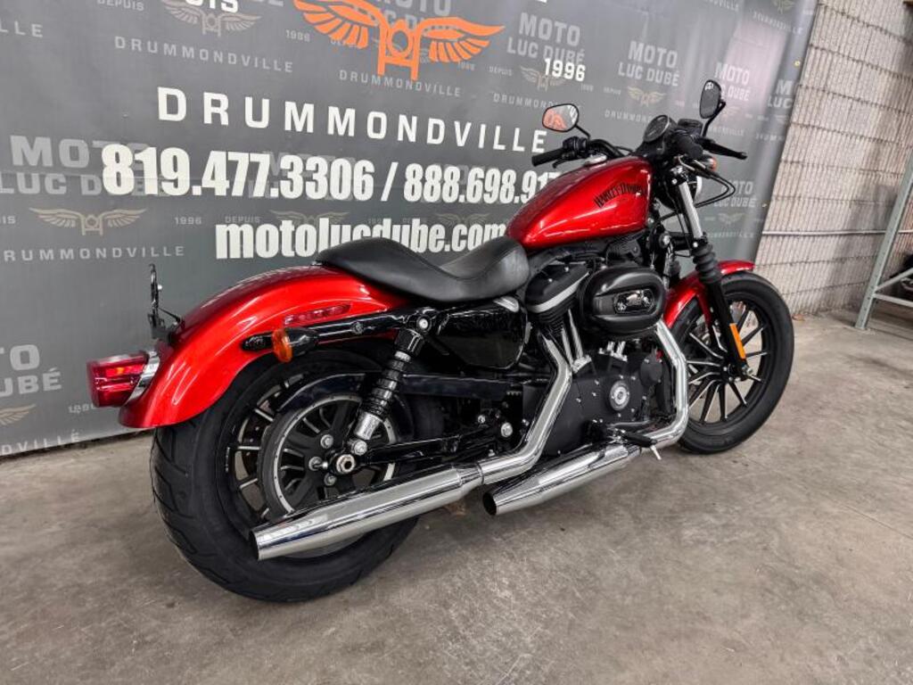 Harley-Davidson XL883N Iron 883 2013 à vendre