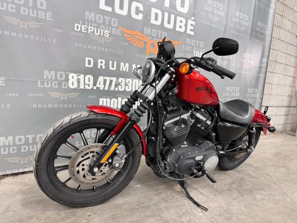 Harley-Davidson XL883N Iron 883 2013 à vendre