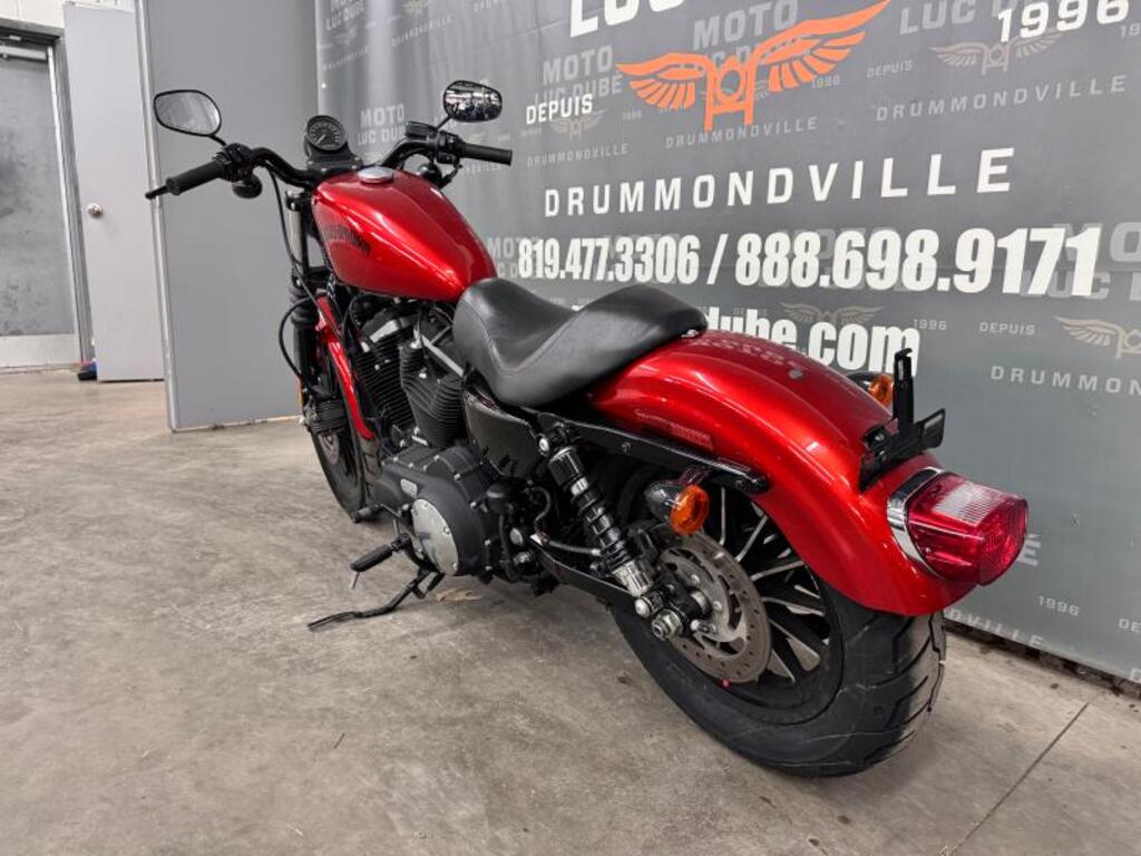 Harley-Davidson XL883N Iron 883 2013 à vendre