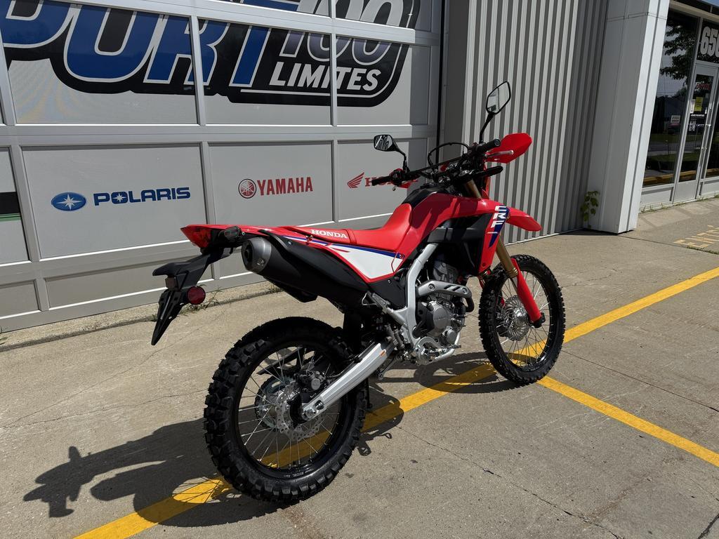 Honda CRF300L ABS 2025 à vendre