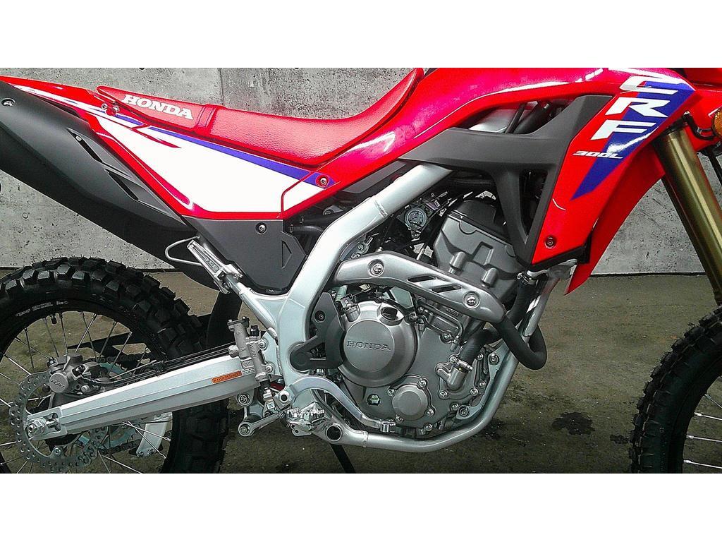 Honda CRF300L 2025 à vendre