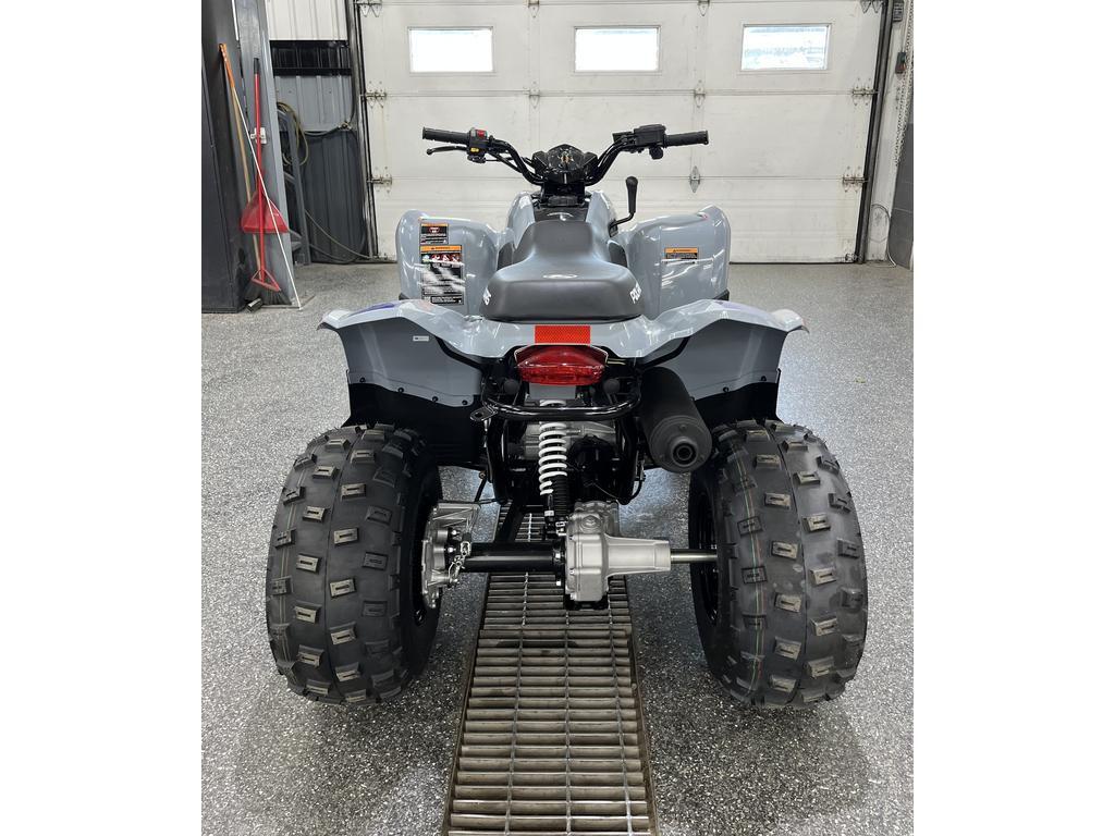 Polaris Phoenix 200 2025 à vendre
