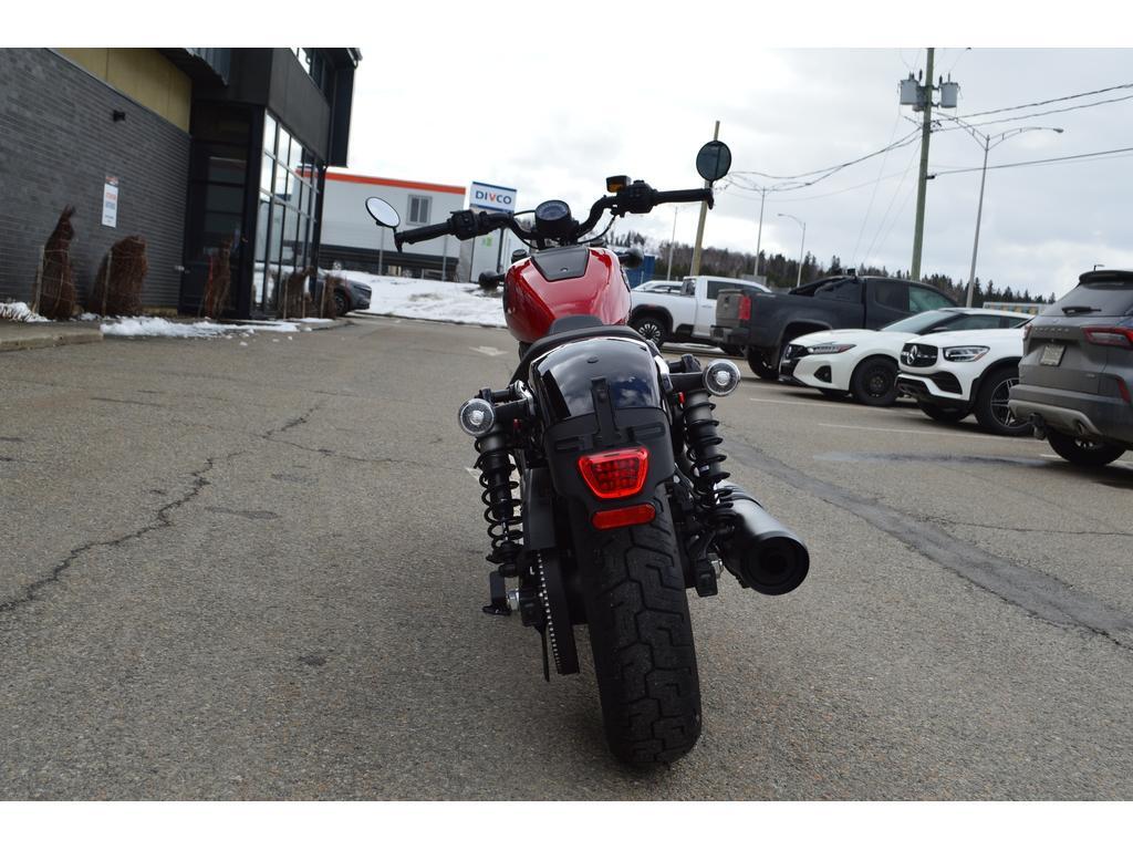 Harley-Davidson Nightster 2023 à vendre