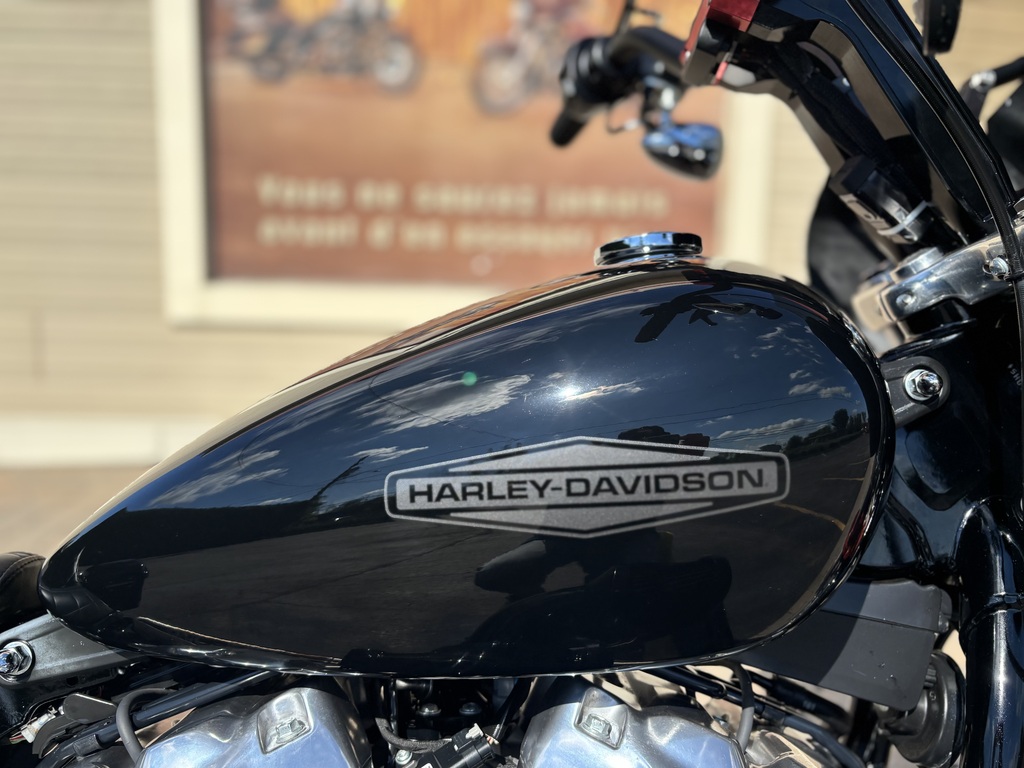 Harley-Davidson Softail 2021 à vendre