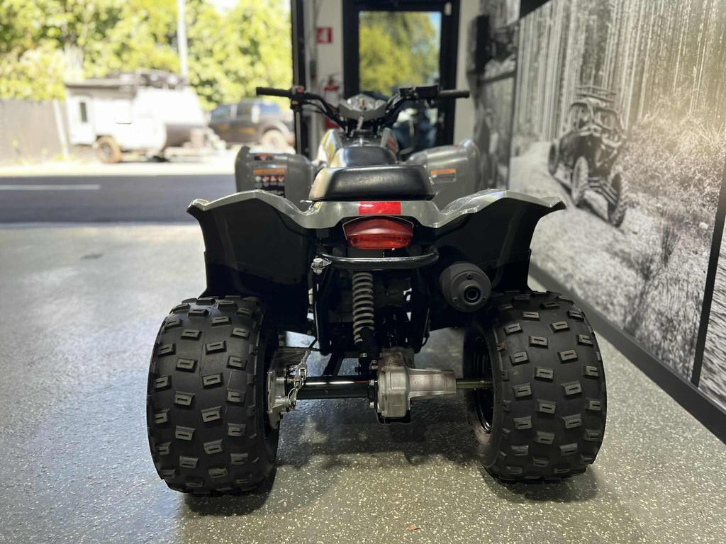 Polaris Phoenix 200 2022 à vendre