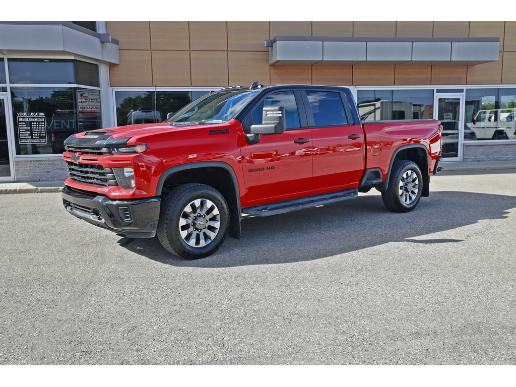 American Eagle Eagle 2024