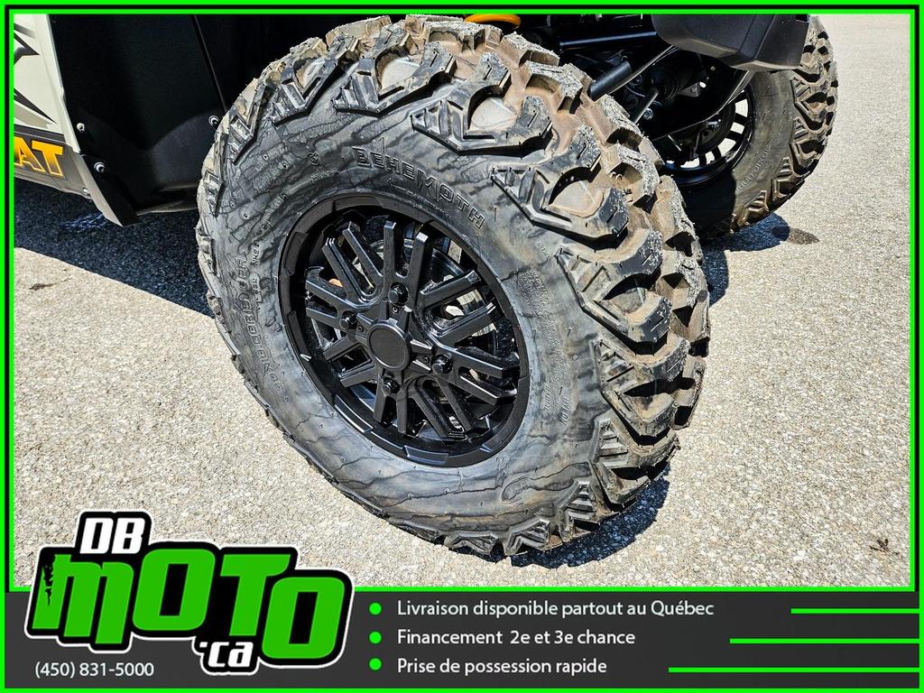 Arctic Cat WILDCAT XX 2024 à vendre