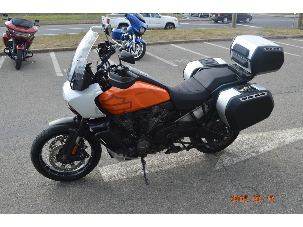Harley-Davidson Pan America 1250 Special 2021 à vendre