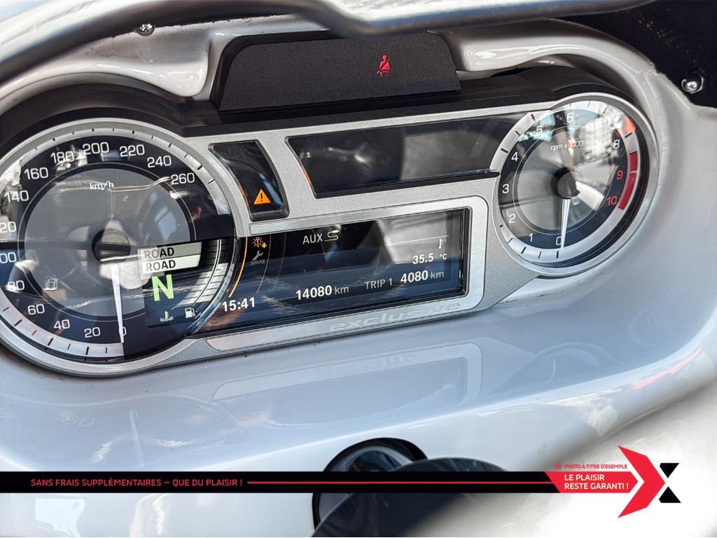 Campagna T-Rex 16S 2017 à vendre