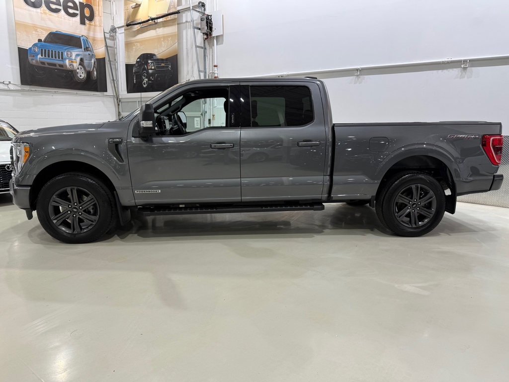 Ford F-150 3.5L POWERBOOST HYBRIDE 430 HP 10 VITESSES 4X4 2023 à vendre