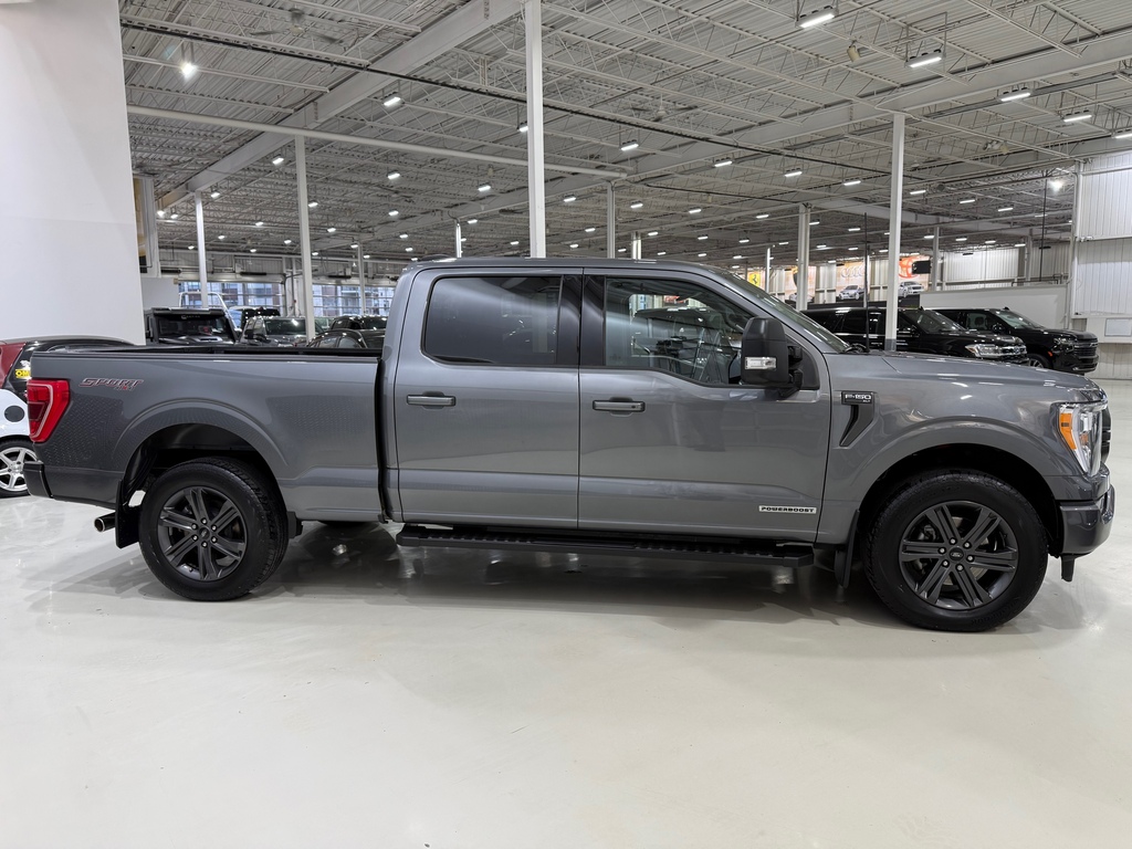 Ford F-150 3.5L POWERBOOST HYBRIDE 430 HP 10 VITESSES 4X4 2023 à vendre