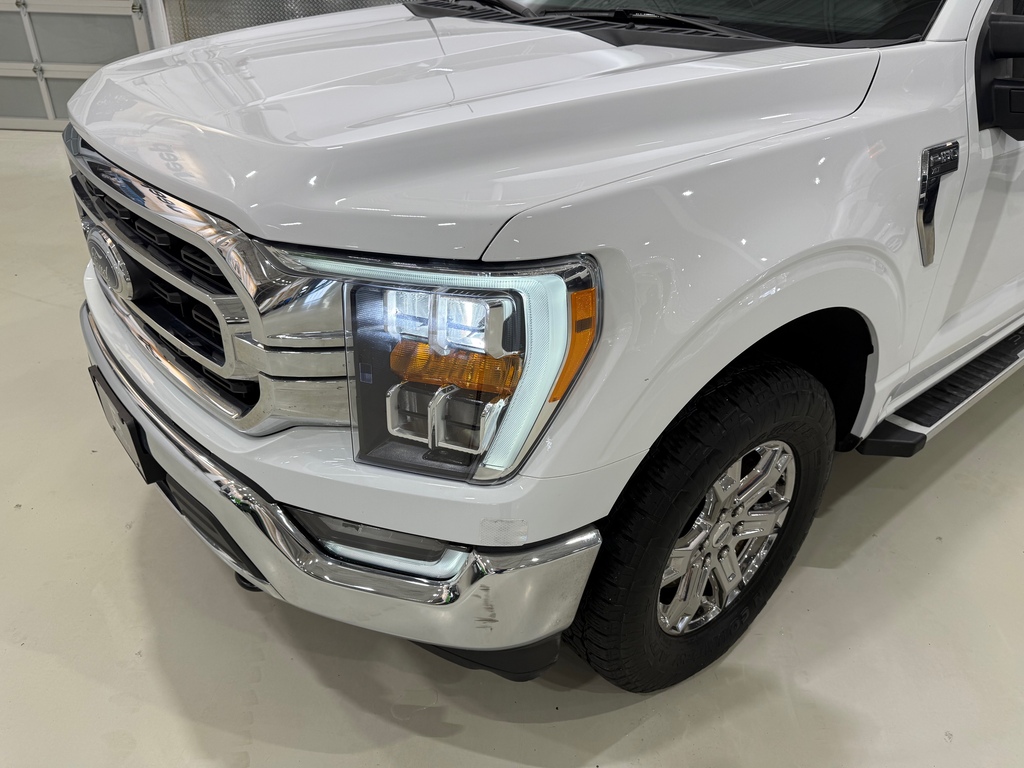 Ford F-150 VdpUrlEn 2022 à vendre