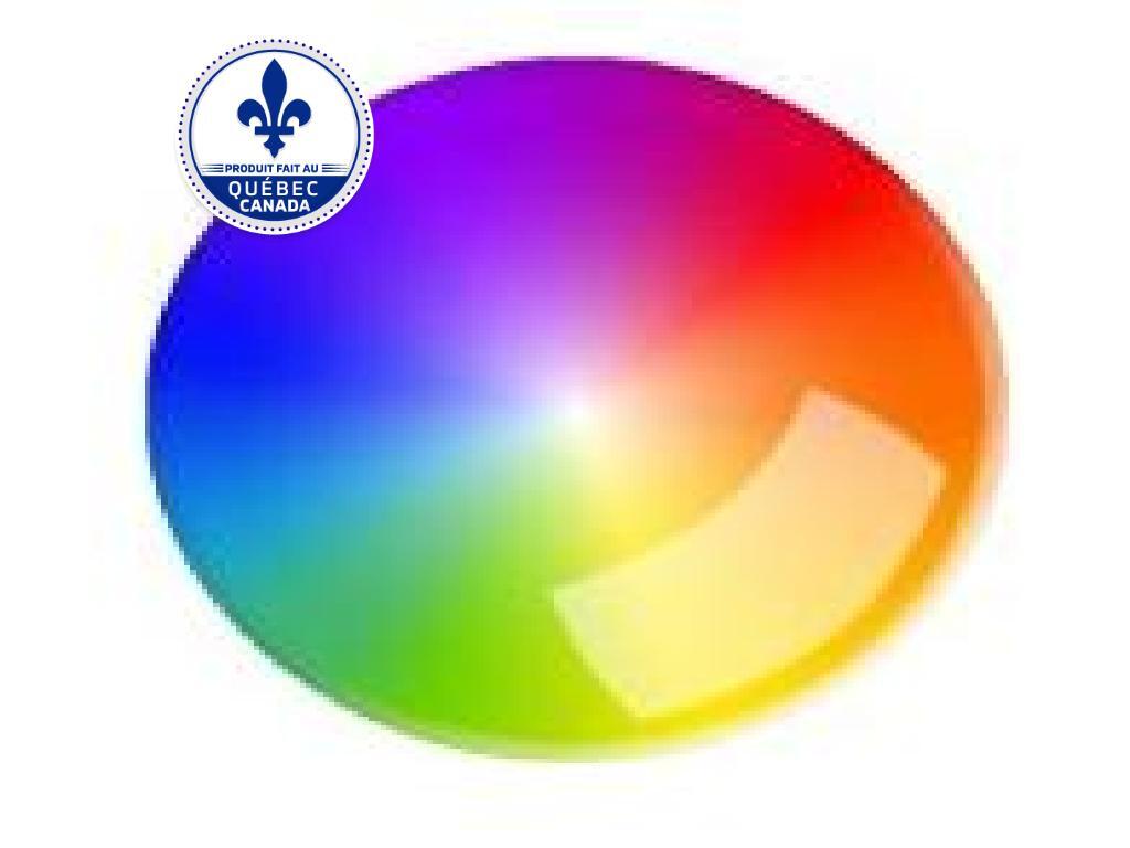 Campagna T-REX RR Customize/ Personaliser votre t-rez Comma 2025