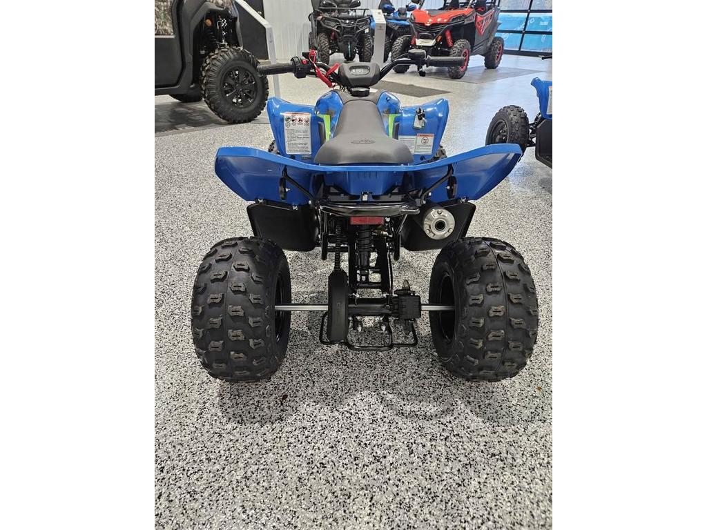 CFMOTO CFORCE 110 CLASSIC 2026 à vendre