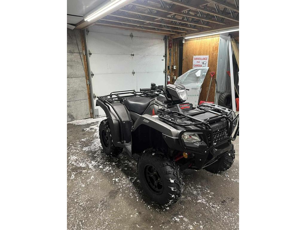 Honda TRX500 Rubicon DCT IRS EPS 2018 à vendre