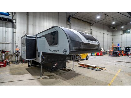 Palomino Palomino 2026