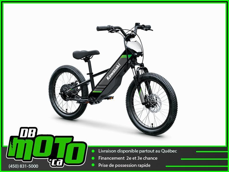 Kawasaki ELEKTRODE 20 2025