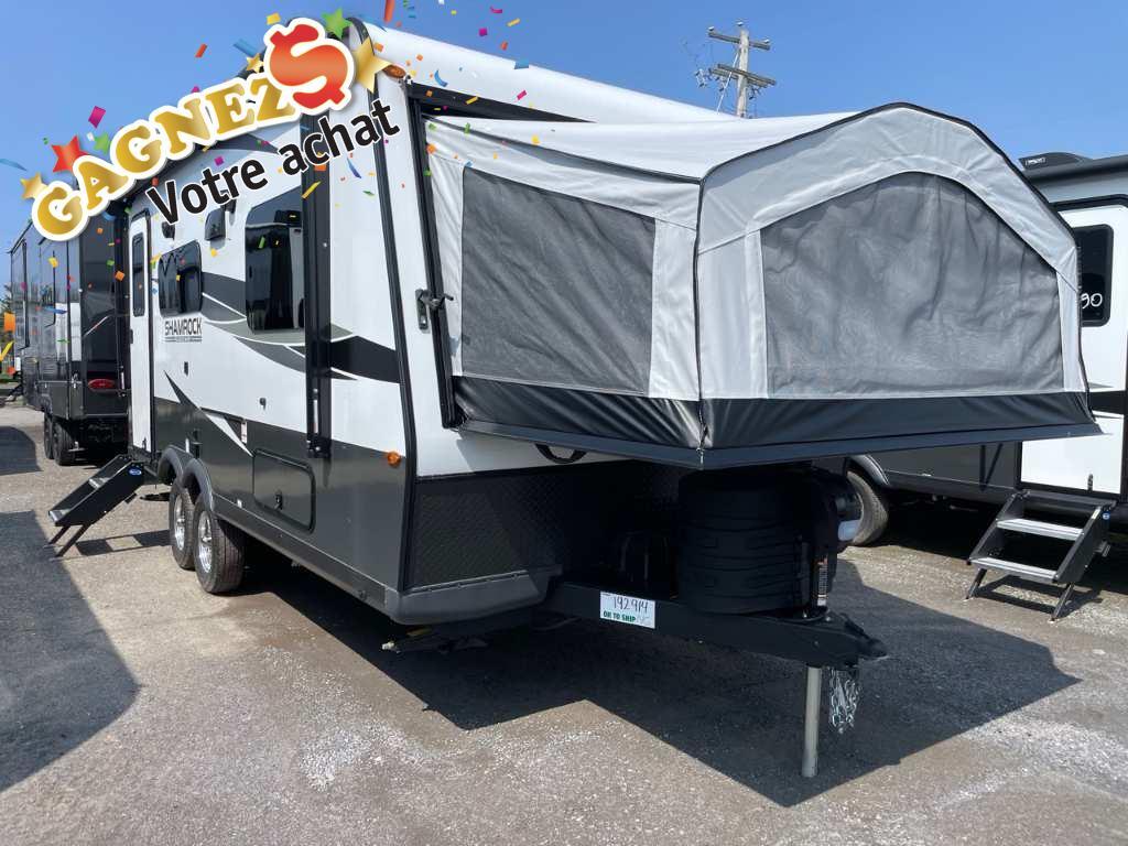 Flagstaff SHAMROCK 19 2024