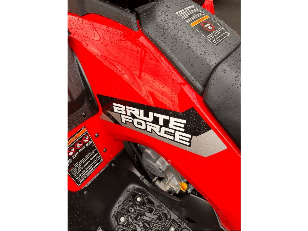 Kawasaki Brute Force 750 2026 à vendre