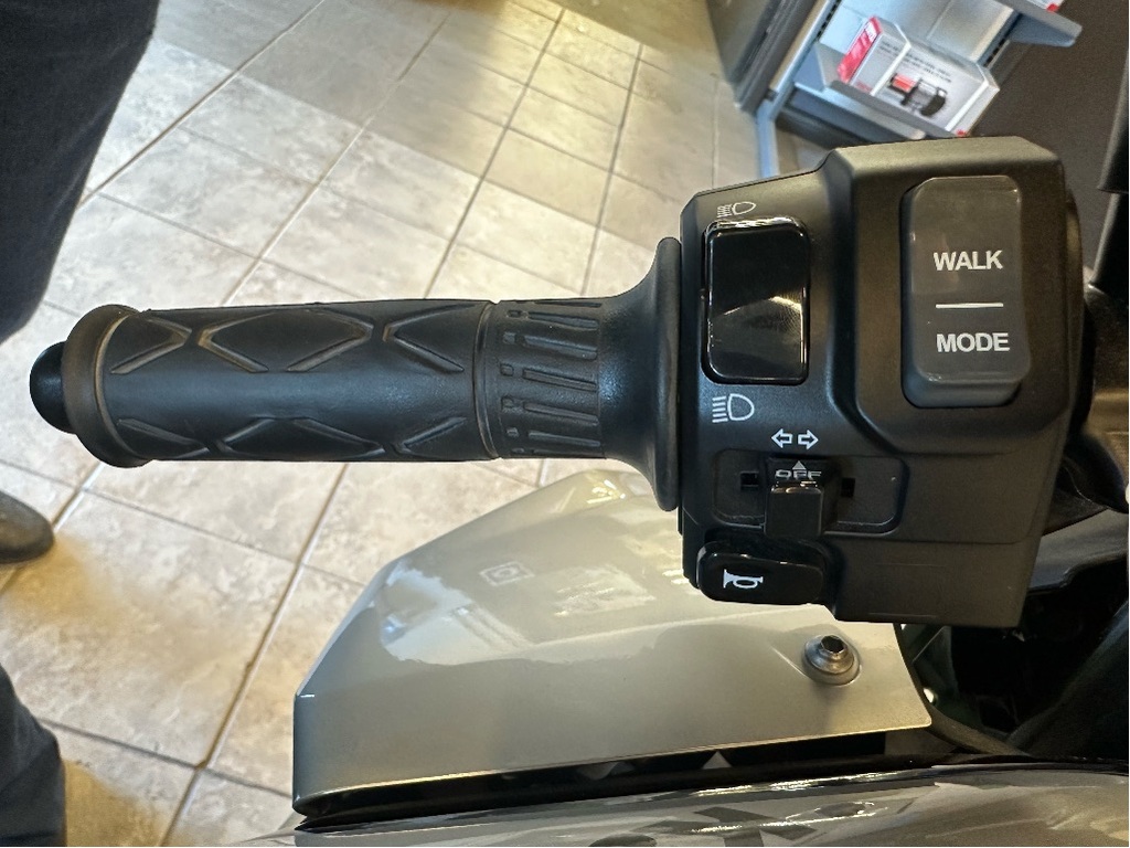 Kawasaki Z e-1 2024 à vendre