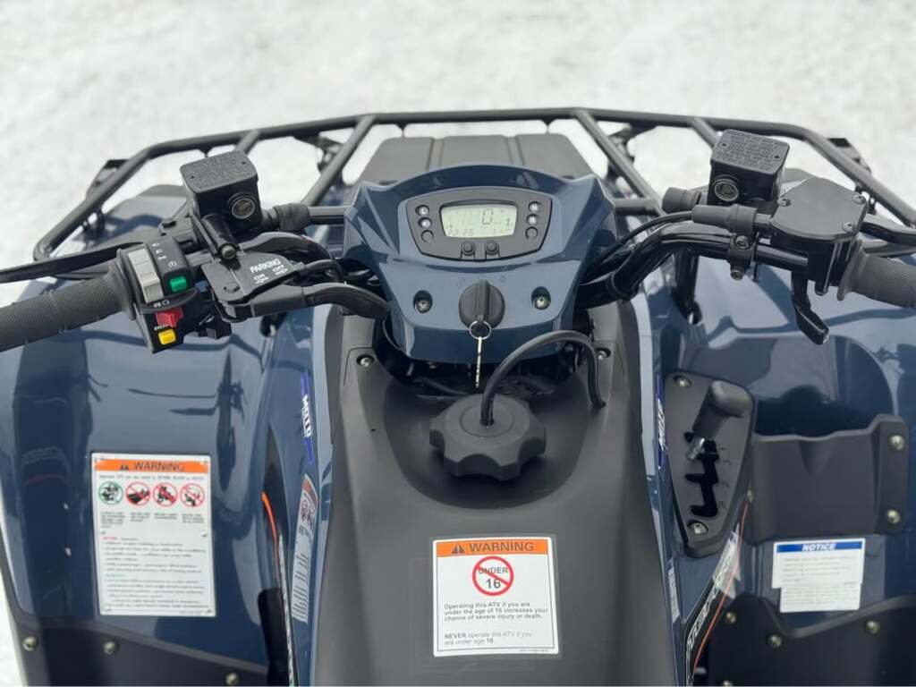 Kawasaki Brute Force 300 2025 à vendre