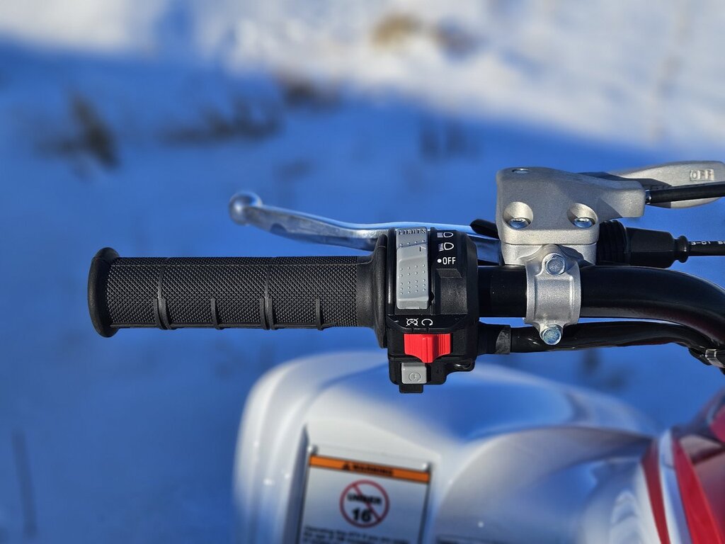 Yamaha Raptor 700R 2026 à vendre