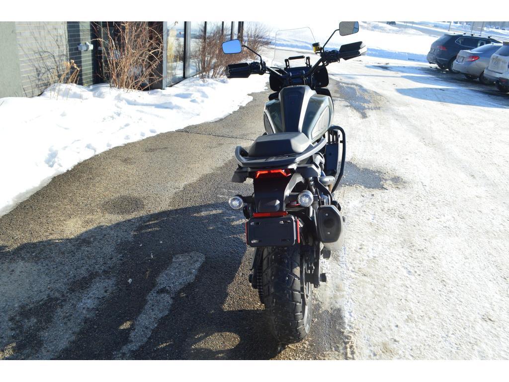 Harley-Davidson Pan America 1250 Special 2021 à vendre