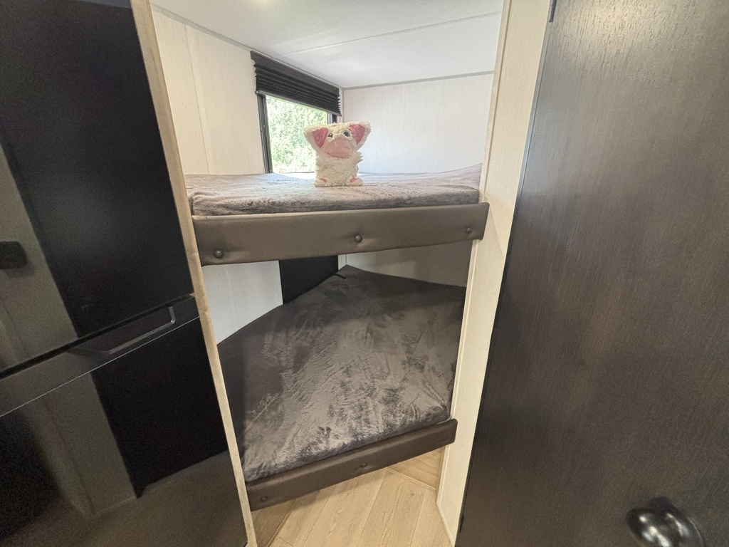 Wolf Pup 17JW 2026 à vendre