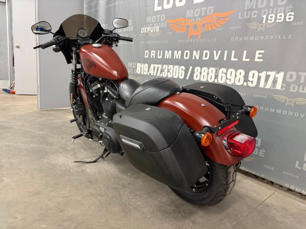 Harley-Davidson XL883N Iron 883 2017 à vendre