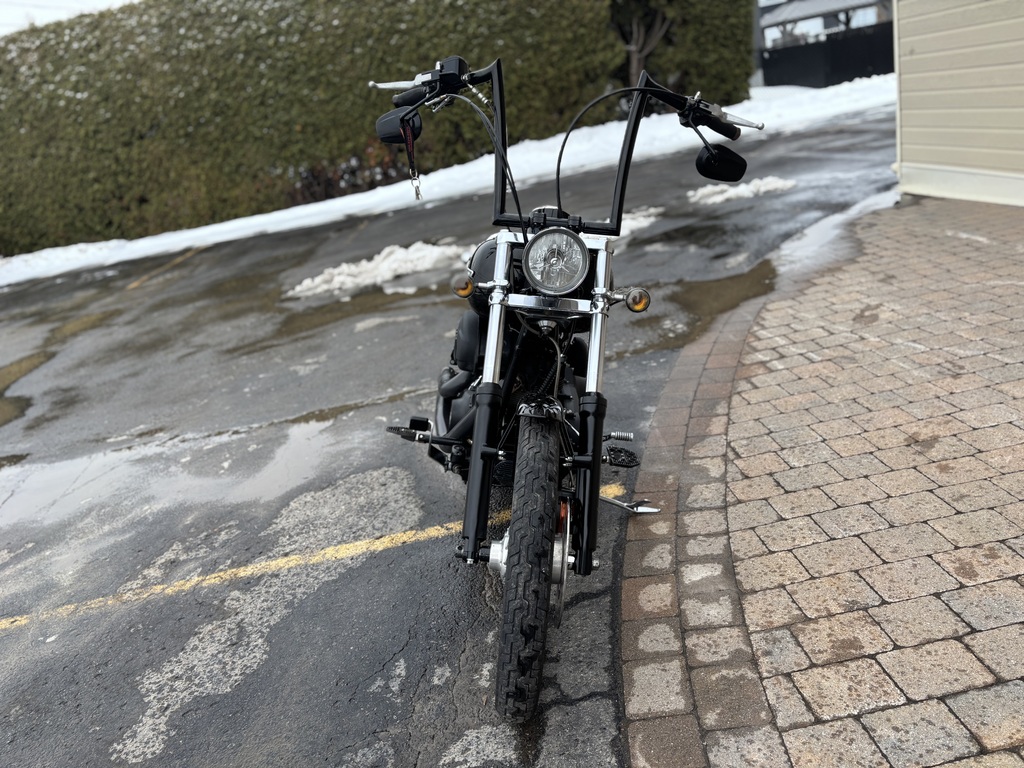 Harley-Davidson Softail 2007 à vendre